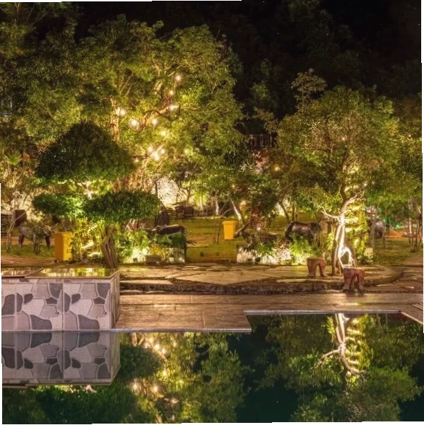 Serena Cat Ba homestay với không gian xanh mát và hồ bơi ngoài trời