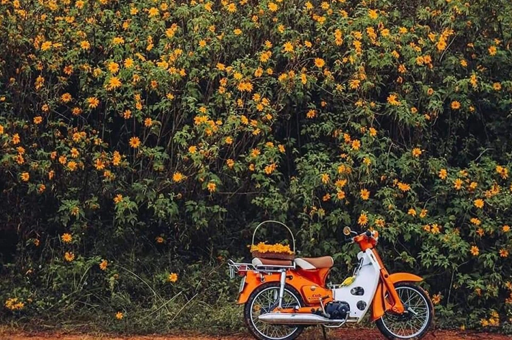 Suối Cái Ba Vì: Khám phá điểm dã ngoại mát lạnh và thơ mộng