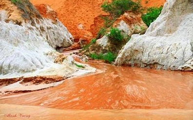 Suối Hồng Mũi Né Trải Nghiệm Độc Đáo Giữa Lòng Phan Thiết 2026