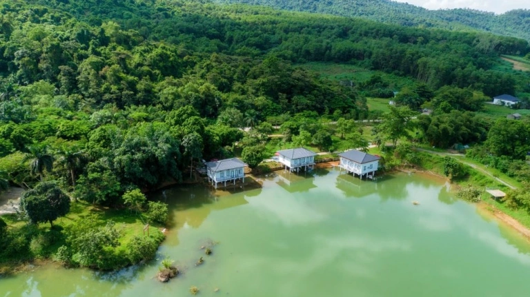 Suối Mơ Ba Vì: Điểm Hẹn Lý Tưởng Cho Kỳ Nghỉ Trong Lành Gần Hà Nội