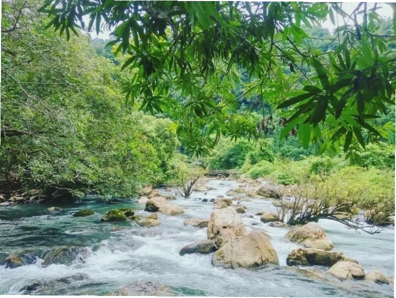 Suối Moọc Quảng Bình với làn nước trong xanh bao quanh bởi núi đá và cây cối