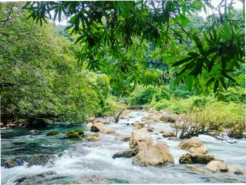 Suối Moọc Quảng Bình với làn nước trong xanh nhìn thấy đáy