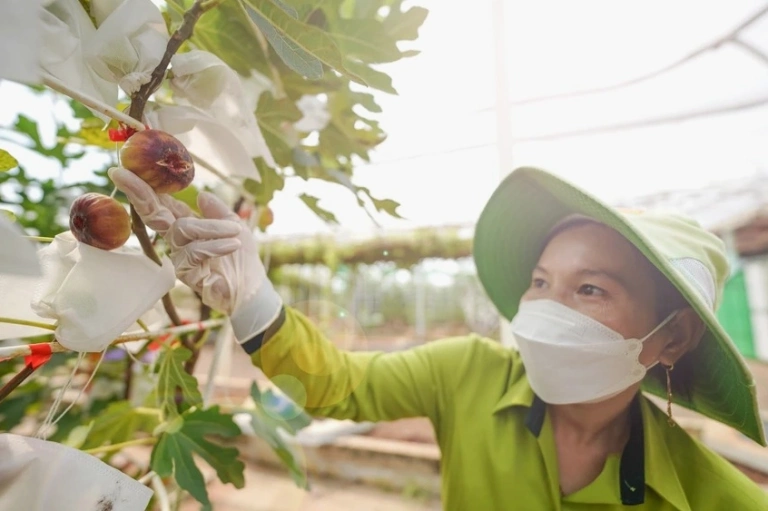 Suối Tiên Farm: Khám phá điểm đến lý tưởng cho trải nghiệm cuối tuần