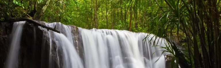 Suối Tranh Phú Quốc: Khám phá vẻ đẹp thiên nhiên và kinh nghiệm du lịch chi tiết