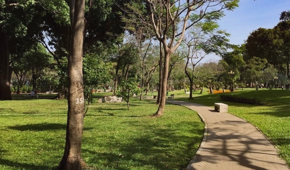 Tán cây xanh bao phủ Công viên Khánh Hội