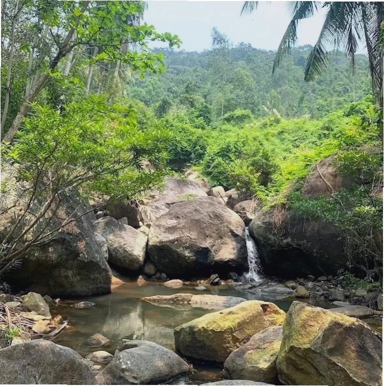 Tham quan Suối Đá Sơn Trà