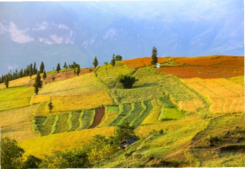 Thảo nguyên Suôi Thầu mùa hè