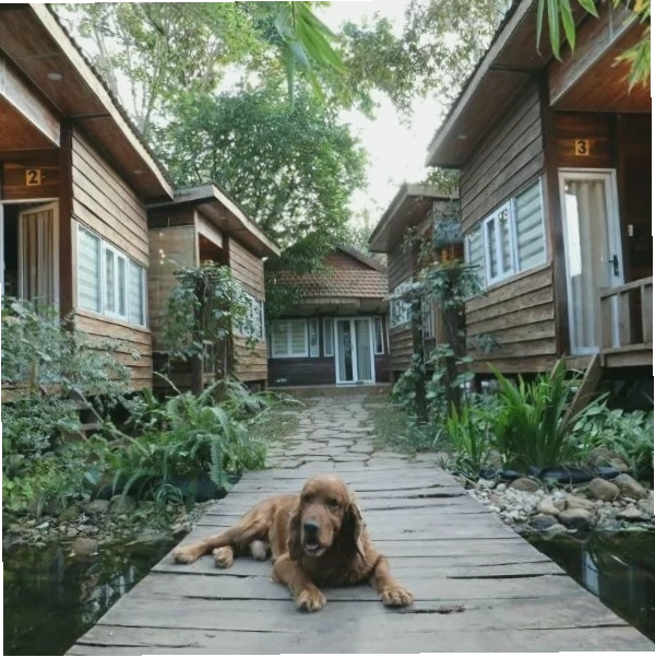 The 47 House Homestay BMT với không gian xanh mát tại Buôn Ma Thuột