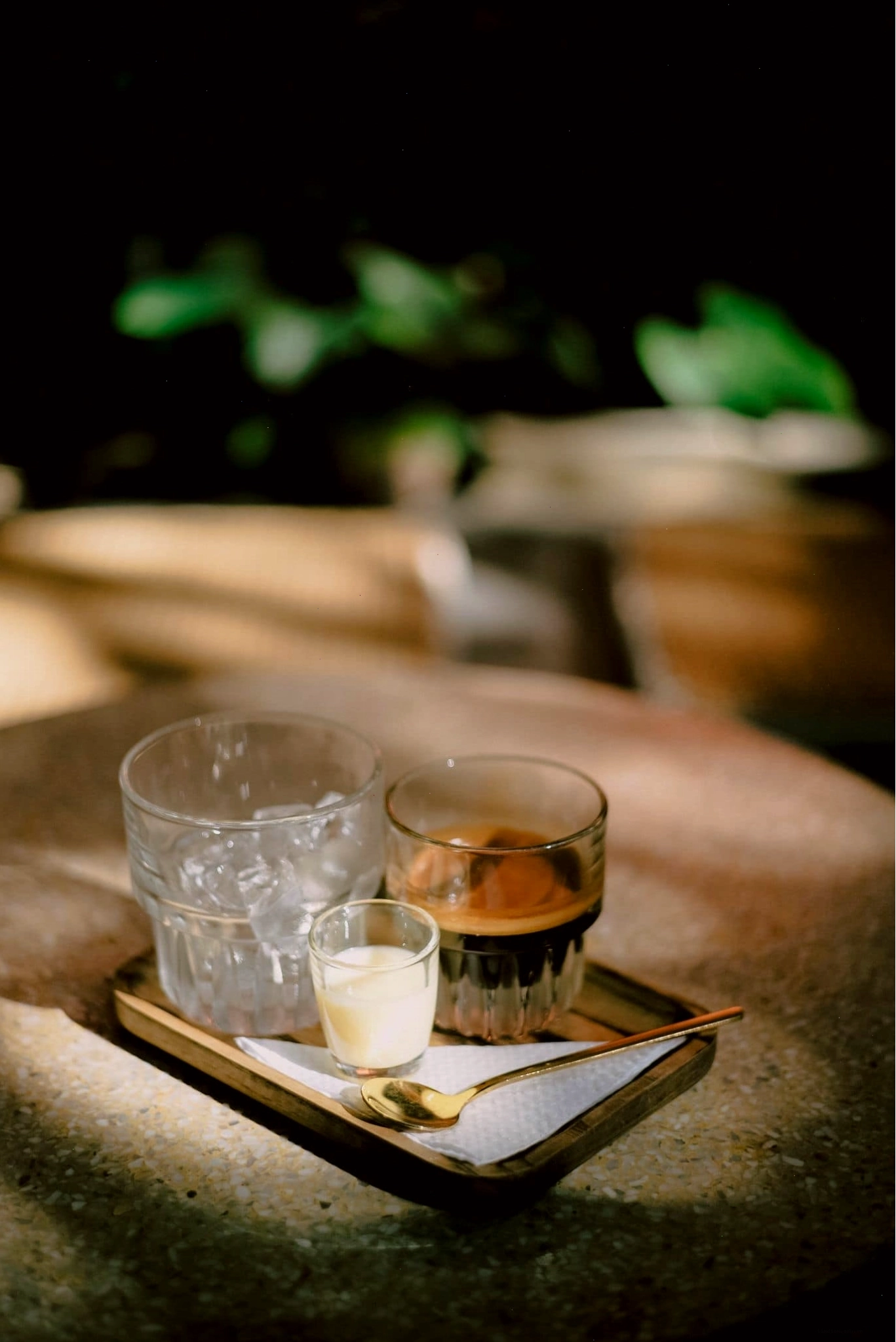 The 59 Cafe - Cây xanh được bố trí hài hòa trong không gian