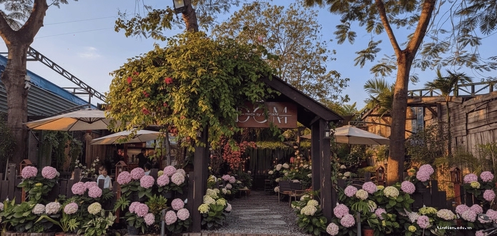 The DOM Cafe rực rỡ sắc hoa cẩm tú cầu