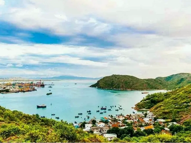 Thế giới san hô rực rỡ dưới làn nước trong xanh tại Đảo Hòn Khô