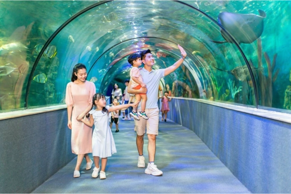 Thế giới sinh vật biển đa dạng tại Thủy cung Vinpearl Aquarium