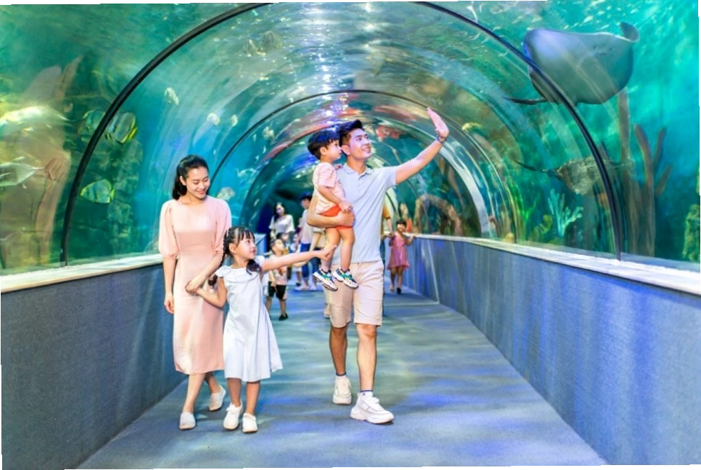 Thế giới sinh vật biển đa dạng tại Thủy cung Vinpearl Aquarium