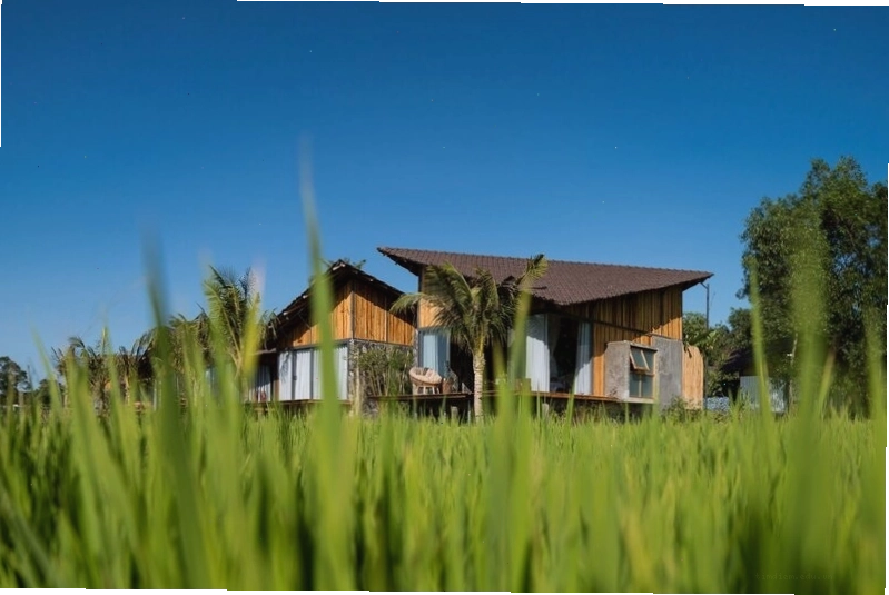 The Ruộng Resort với không gian nghỉ dưỡng yên bình bên cánh đồng lúa xanh mát