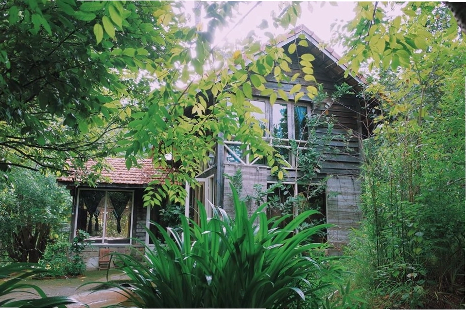 The Shelter homestay Đà Lạt với kiến trúc độc đáo hòa mình vào thiên nhiên