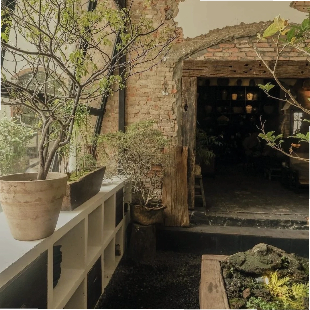 ThiBa Cafe tràn ngập cây xanh và ánh đèn vàng tạo không gian ấm cúng