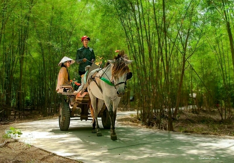 Thiên nhiên An Giang với những ngọn đồi xanh mướt