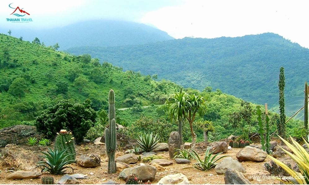 Thiên nhiên xanh mát tại Melia Bavi Mountain Retreat