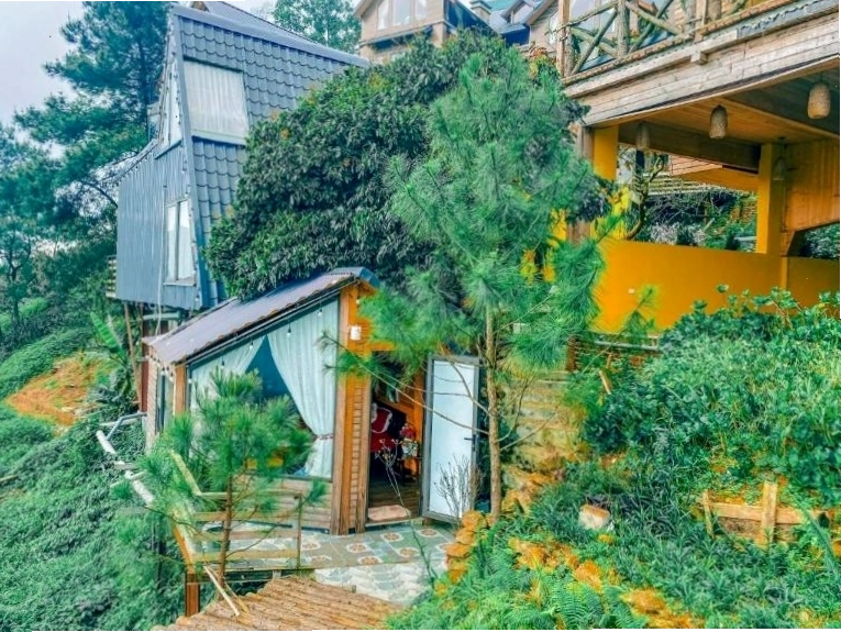 Thiết kế bungalow độc đáo tại Mimosa Villa