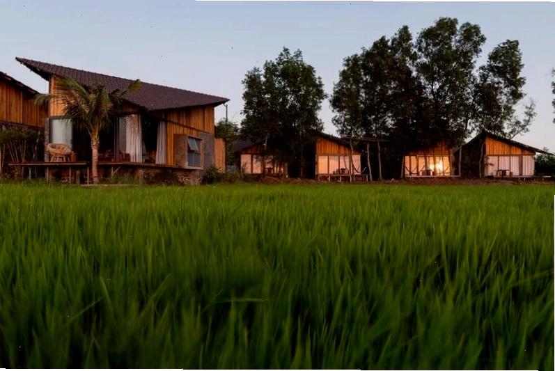 Thiết kế phòng nghỉ tại The Ruộng Resort sử dụng vật liệu tự nhiên