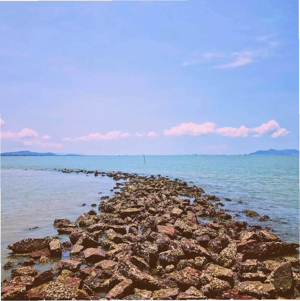 Thời điểm lý tưởng để tới thăm biển Cần Giờ là từ tháng 11 đến tháng 4