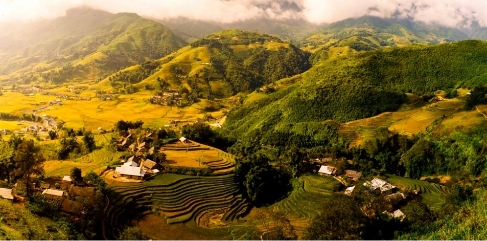 Thung lũng Mường Hoa Sapa với những thửa ruộng bậc thang xanh mướt và uốn lượn