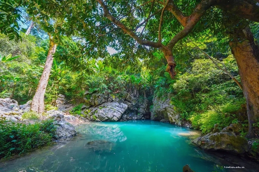 Thung lũng ngầm kỳ ảo bên trong Hang Én