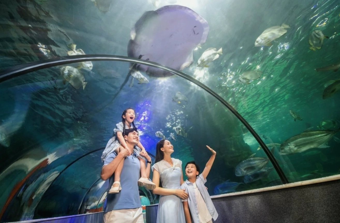 Thủy cung Times City quy tụ hơn 30.000 sinh vật biển đa dạng