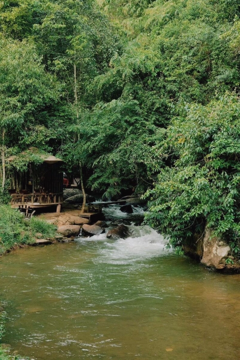 Tiệm Cà Phê Nhà Bên Suối Đà Lạt nhìn từ trên cao