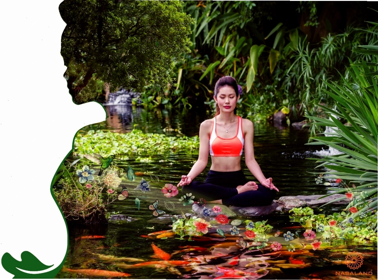 Tiện ích hòa mình với thiên nhiên tại Dragon Village