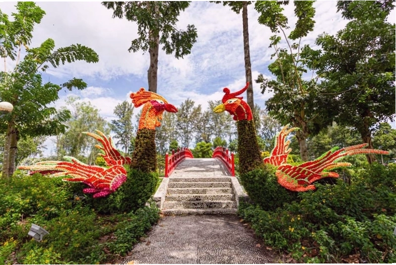 Tiểu cảnh hoa rực rỡ sắc màu tại Công viên Sa Đéc