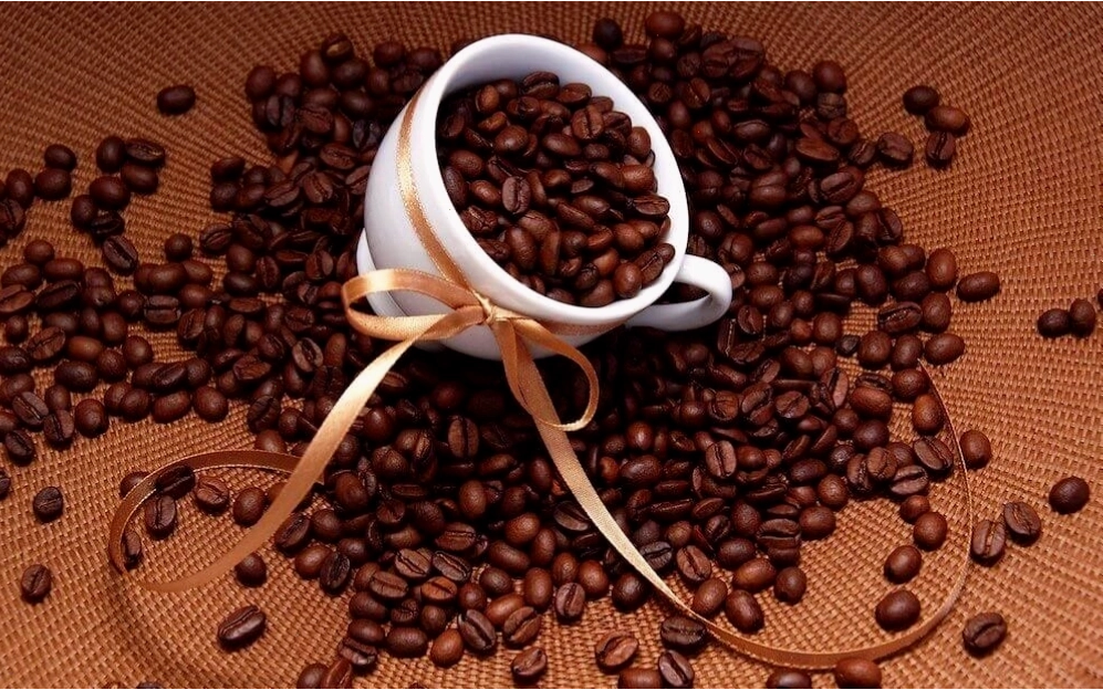 Tìm hiểu về giống cà phê Mocha và nguồn gốc lịch sử