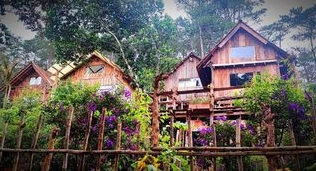 Tổ Chim Ri Homestay Măng Đen: Trải nghiệm độc đáo giữa rừng thông
