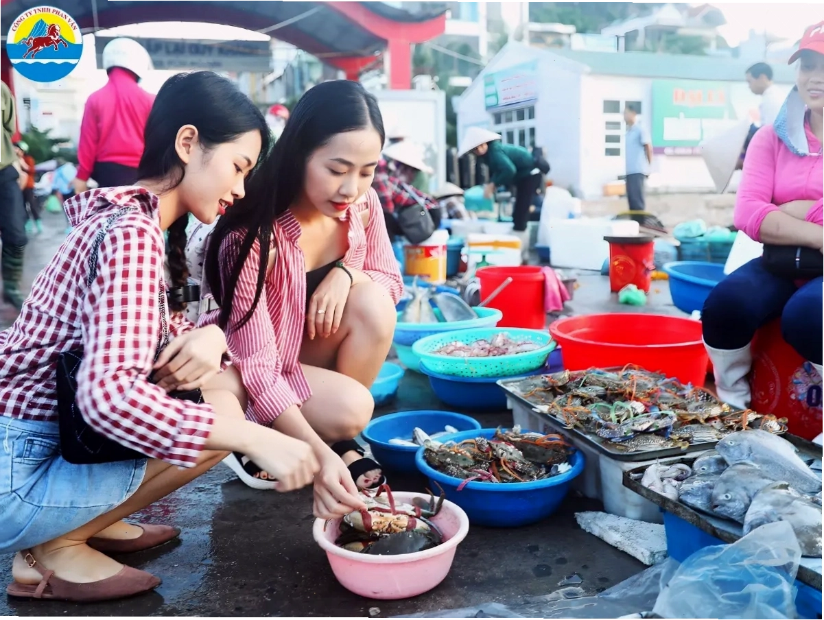 Tổ hợp nghỉ dưỡng Sonasea Vân Đồn