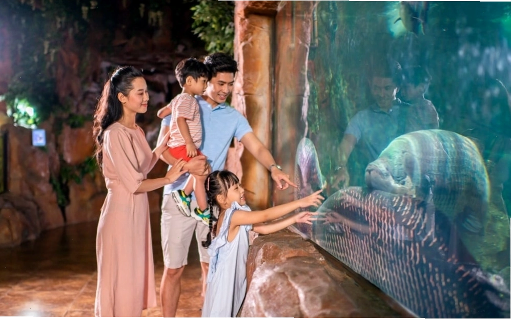Tổ hợp Thủy cung và VinKE Times City - Điểm đến lý tưởng cho gia đình
