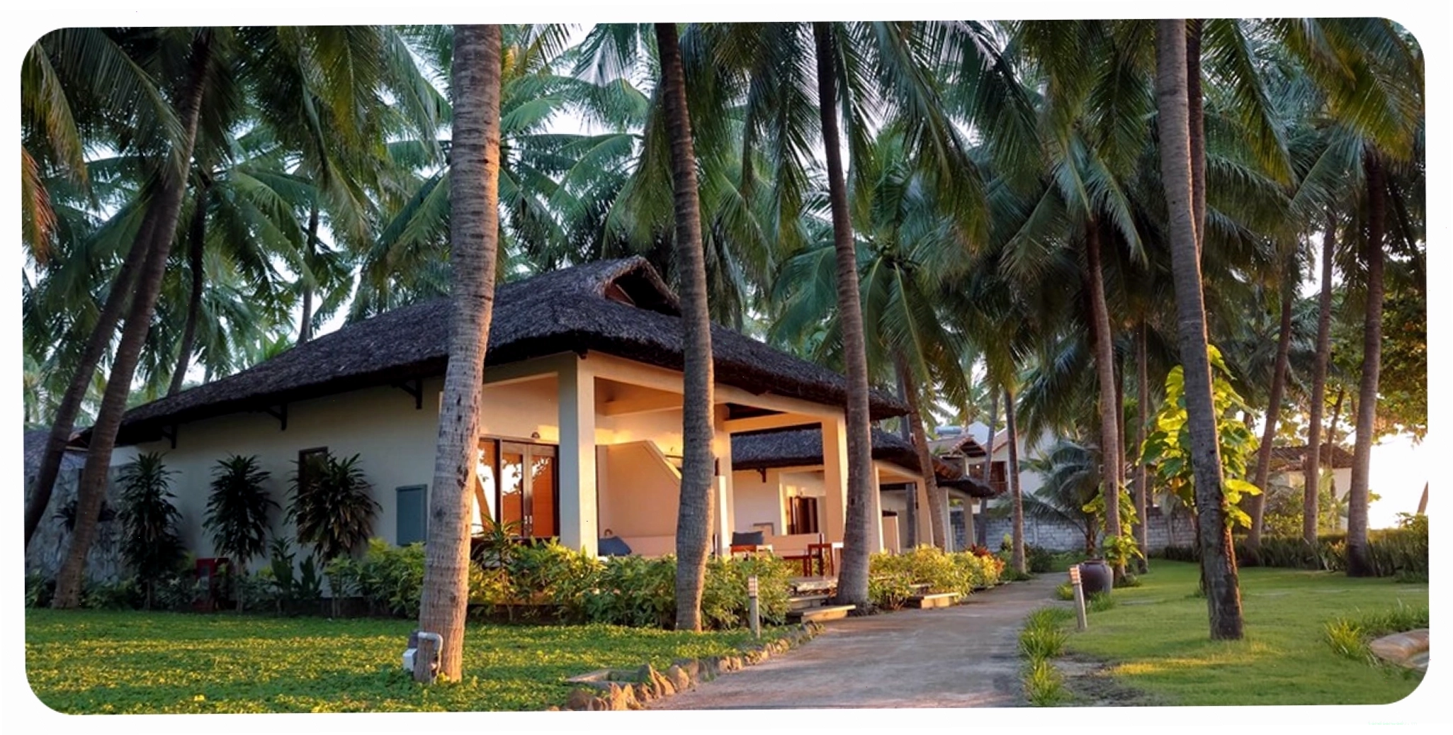 Toàn cảnh Blue Ocean Resort Mũi Né với hồ bơi rộng và hàng dừa xanh mát
