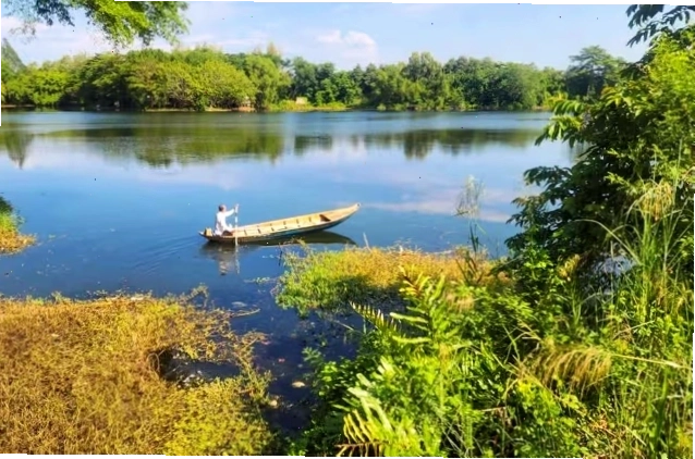 Toàn cảnh Công viên Văn hóa An Hòa, một không gian xanh thư giãn