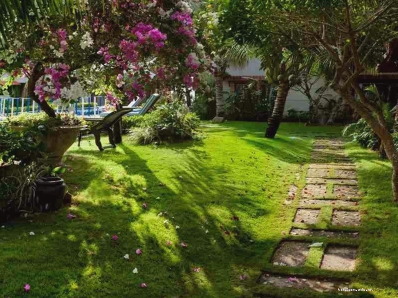 Toàn cảnh Green Organic Villas với không gian xanh mát và bãi biển gần kề