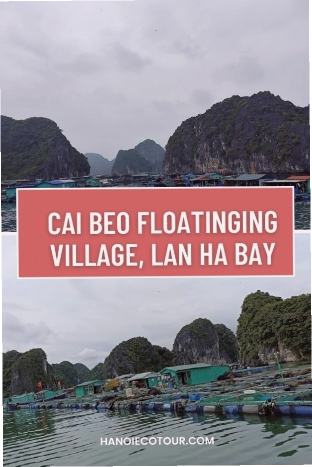 Toàn cảnh làng chài Cái Bèo nổi tiếng trên vịnh Lan Hạ, Cát Bà