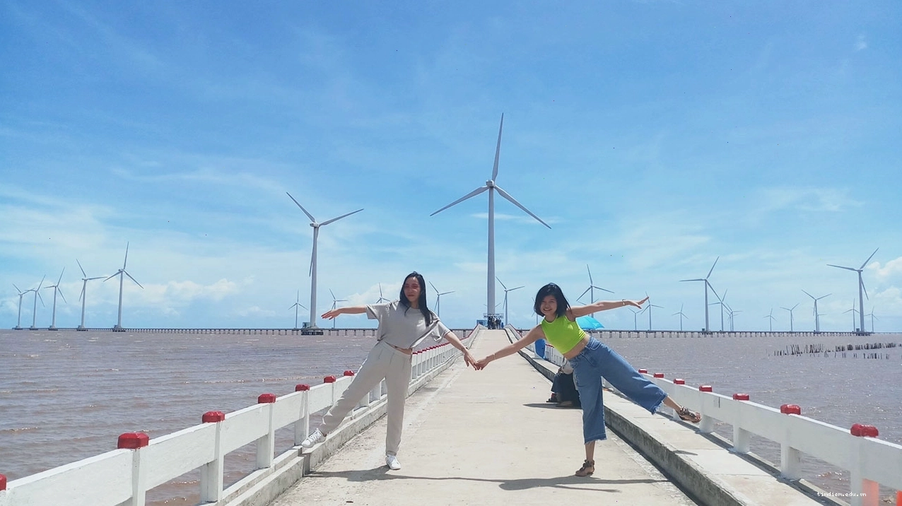 Toàn cảnh rừng tràm Trà Sư xanh mướt nhìn từ trên cao