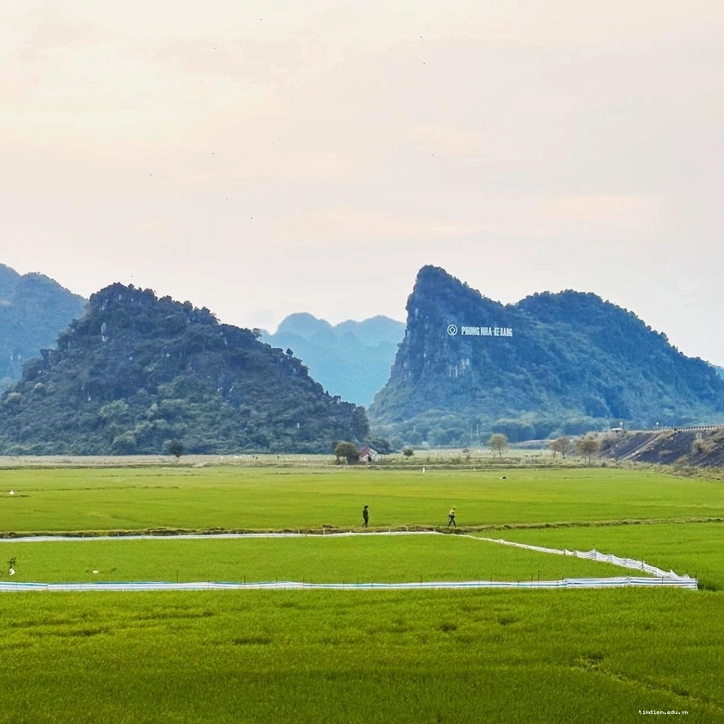 Toàn cảnh Vườn Quốc gia Phong Nha – Kẻ Bàng với núi đá vôi trùng điệp