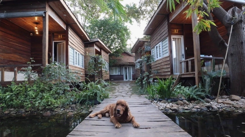 Tổng hợp các góc trang trí sáng tạo tại homestay Buôn Ma Thuột