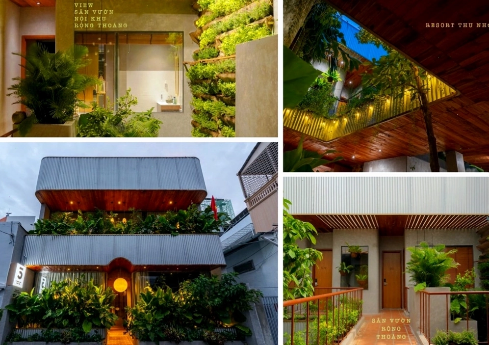 Tổng quan về 5 homestay Vũng Tàu