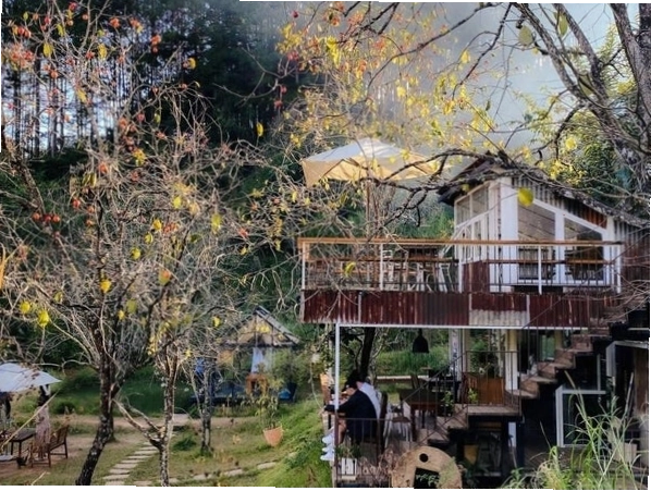 Tổng thể khuôn viên Windy Hill Homestay với tầm nhìn ra đồi núi