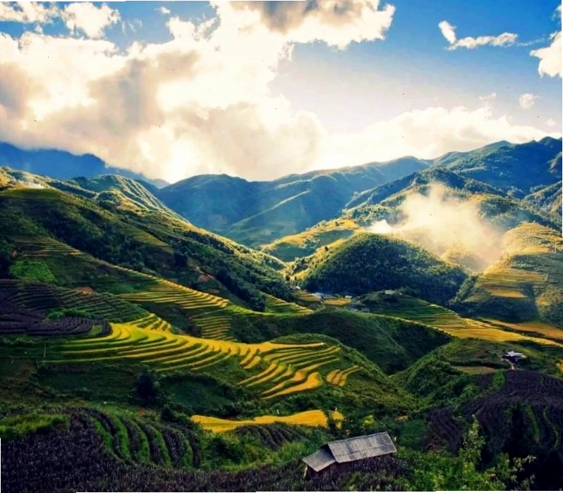 Tổng thể Rock Garden Sapa Homestay về đêm