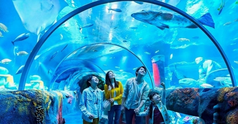 Top Địa Điểm Du Lịch Gần Hà Nội Cho Trẻ Em Thú Vị Nhất