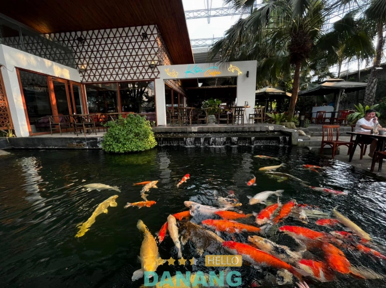 Top Quán Cafe Cá Koi Đà Nẵng: Điểm Hẹn Thư Giãn Tuyệt Vời