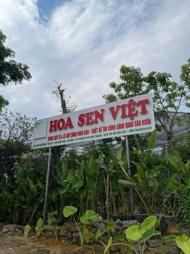 Top Quán Cafe View Đẹp Đà Nẵng 2026 Thu Hút Giới Trẻ