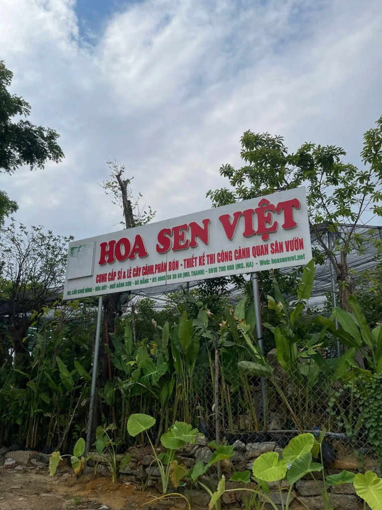 Top Quán Cafe View Đẹp Ở Đà Nẵng: Khám Phá Thiên Đường Sống Ảo Năm 2026