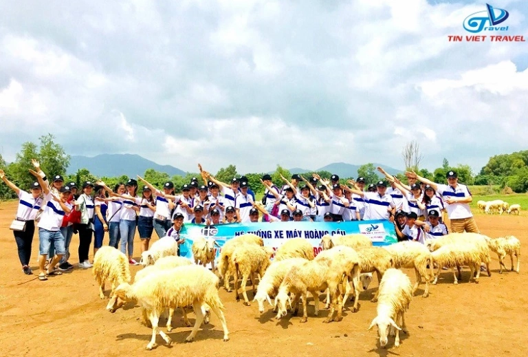Tour Vũng Tàu 2 Ngày 1 Đêm Resort: Trải Nghiệm Nghỉ Dưỡng Đẳng Cấp